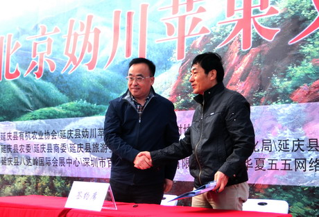 首屆北京媯川蘋果文化節(jié)隆重開幕(圖2)