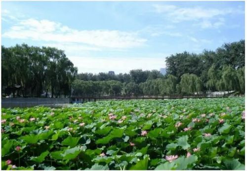 2016北京玩博會，7月14日歡聚全國農業展覽館新館