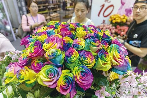 2016國(guó)際家庭花卉園藝展覽會(huì)亮相嘉澤(圖1) A87U3503.jpg