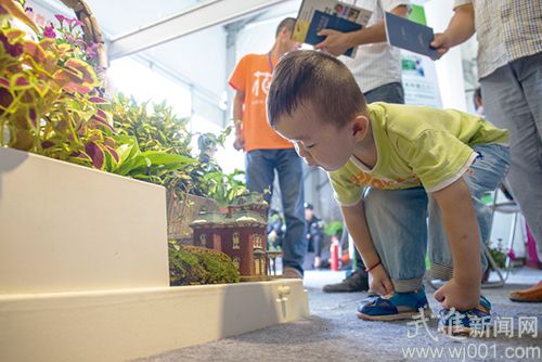 2016國(guó)際家庭花卉園藝展覽會(huì)亮相嘉澤(圖3) A87U3568.jpg